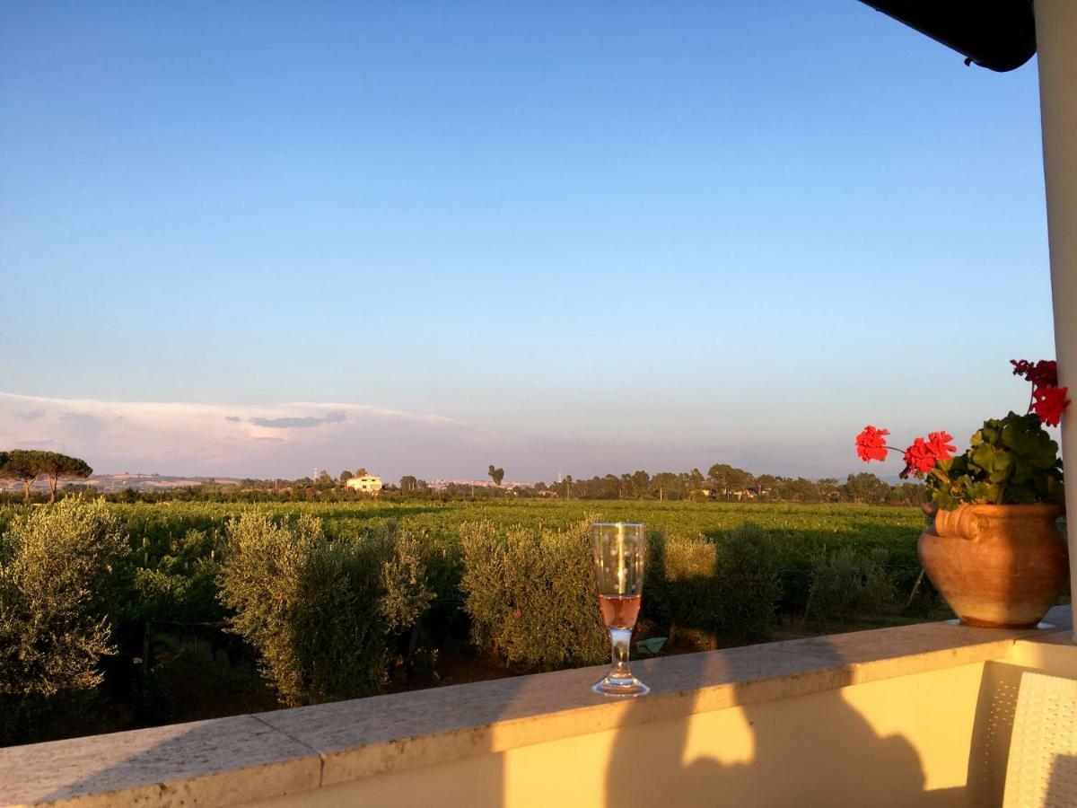 Villa Olga Tarquinia Exterior photo